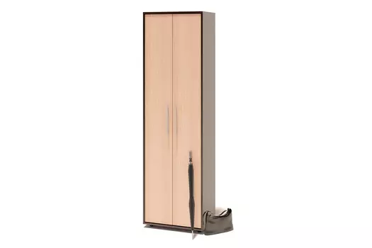 Шкаф для одежды 2-дверный ШО-1