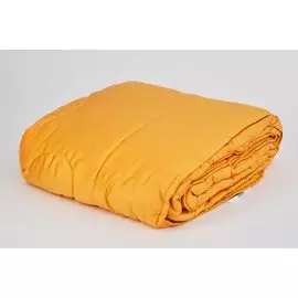 Одеяло Евро Колор Силк