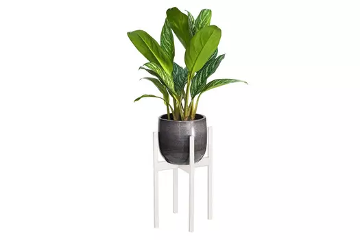 Подставка для комнатных растений Oxalis 40