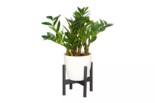 Подставка для комнатных растений Oxalis