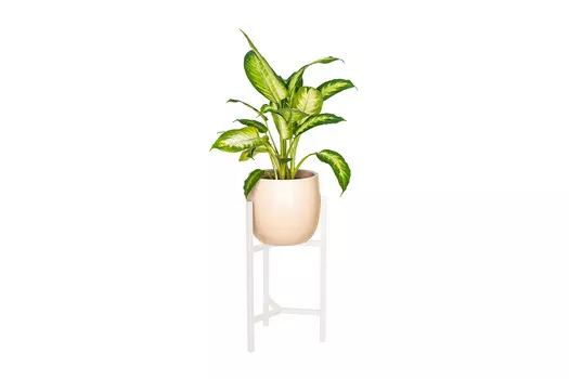 Подставка для комнатных растений Trinity 40