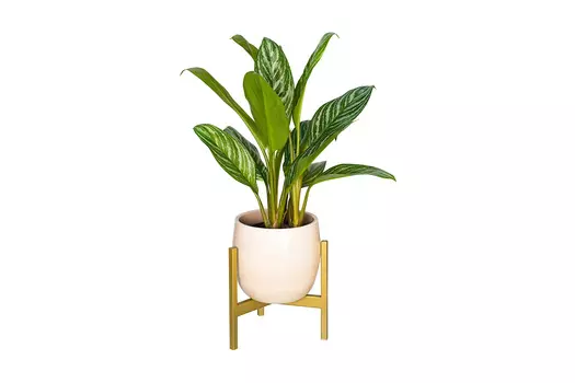 Подставка для комнатных растений Trinity