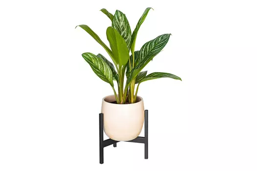 Подставка для комнатных растений Trinity