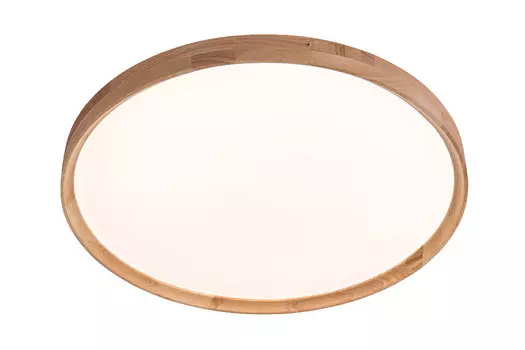 Потолочный светильник FR6016CL