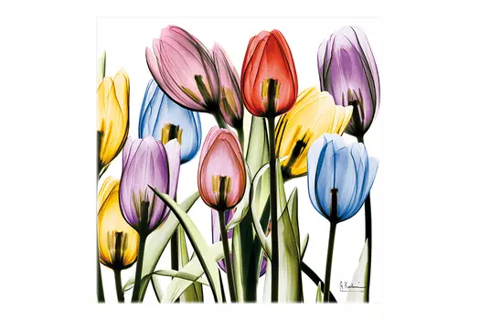 Репродукция Цветы