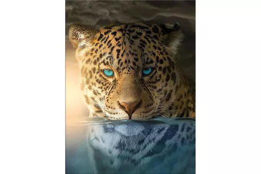 Репродукция Гепард в воде