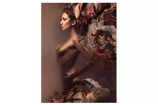 Репродукция Пламя