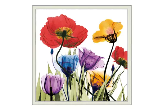 Репродукция в раме Цветы