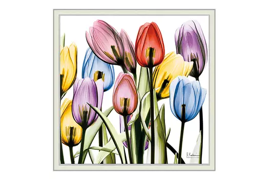 Репродукция в раме Цветы