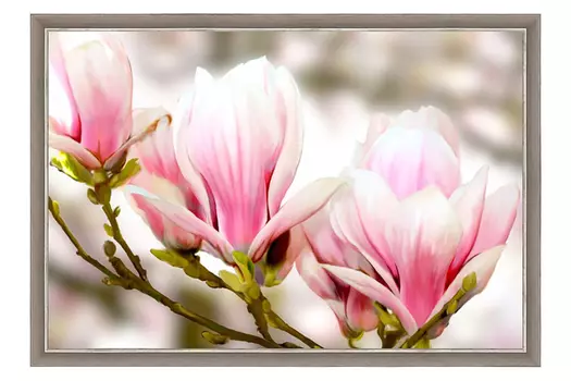 Репродукция в раме Магнолия
