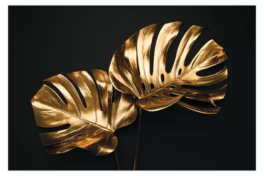 Репродукция Золотые листья монстеры