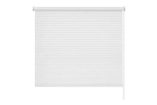 Рулонная штора Райли