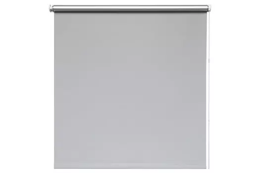 Рулонная штора Сильвер