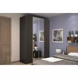 Шкаф для одежды и белья 555