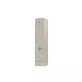 Шкаф комбинированный с 2 ящиками Андромеда