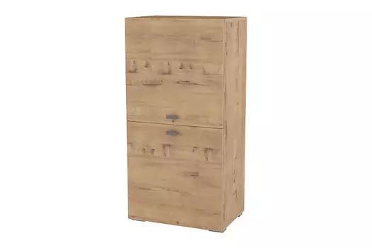 Шкаф комбинированный Snow Wood