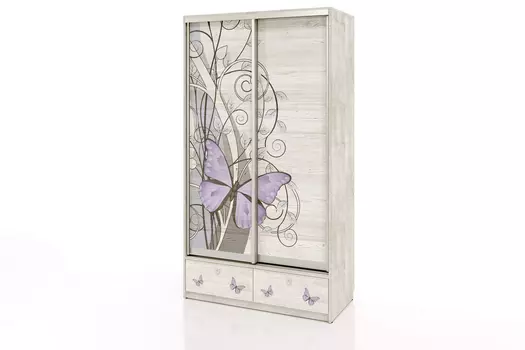 Шкаф-купе 2-дверный Леди