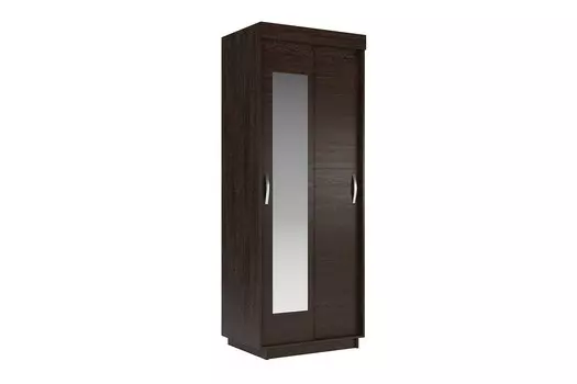 Шкаф-купе 2-дверный Lite