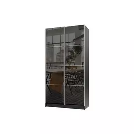 Шкаф-купе 2-дверный Марвин