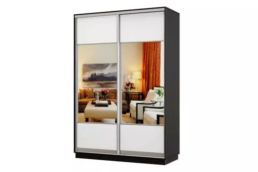 Шкаф-купе 2-дверный Практик 02