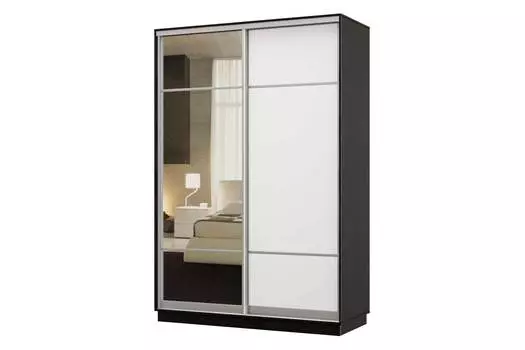 Шкаф-купе 2-дверный Практик 02