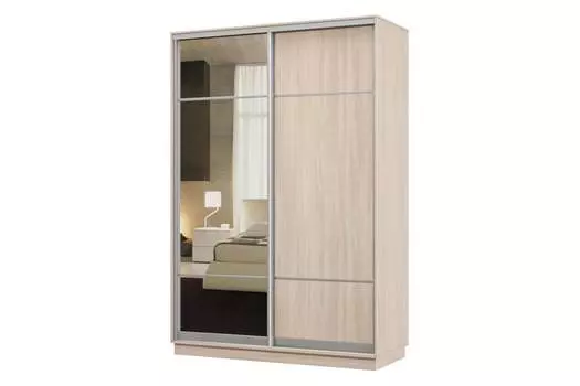 Шкаф-купе 2-дверный Практик 02
