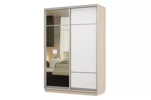 Шкаф-купе 2-дверный Практик 02