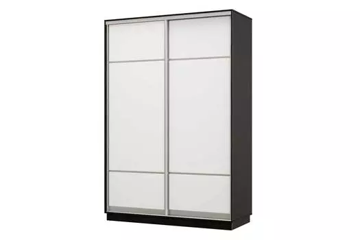 Шкаф-купе 2-дверный Практик 02