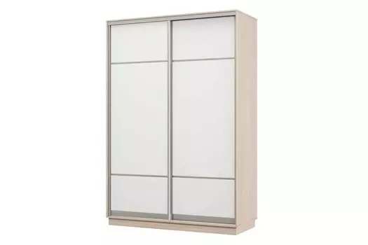 Шкаф-купе 2-дверный Практик 02