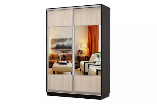 Шкаф-купе 2-дверный Практик 02