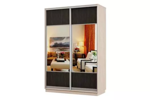 Шкаф-купе 2-дверный Практик 02