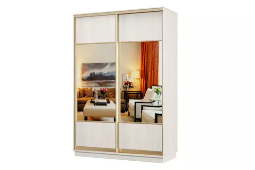 Шкаф-купе 2-дверный Практик 02