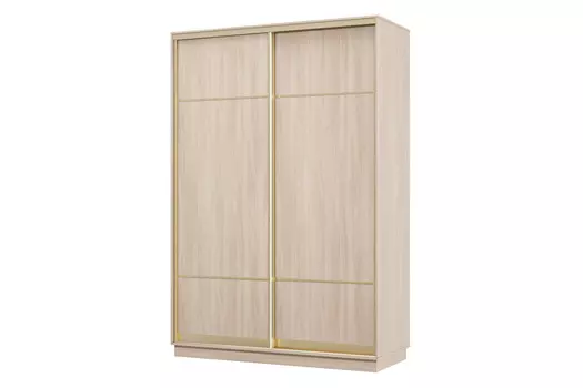 Шкаф-купе 2-дверный Практик 02