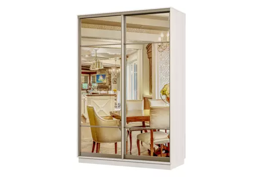 Шкаф-купе 2-дверный Практик 02