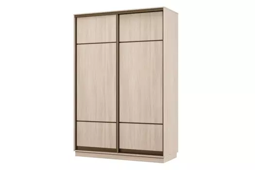 Шкаф-купе 2-дверный Практик 02