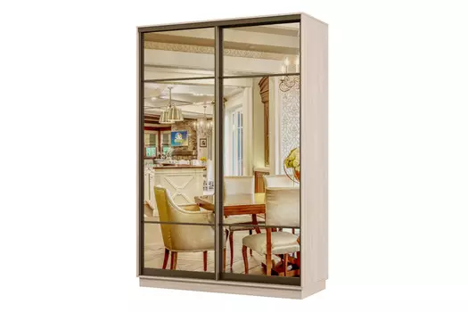 Шкаф-купе 2-дверный Практик 02