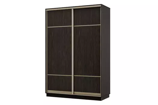 Шкаф-купе 2-дверный Практик 02