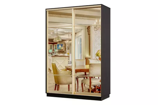 Шкаф-купе 2-дверный Практик 02