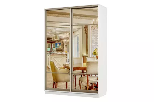 Шкаф-купе 2-дверный Практик 02