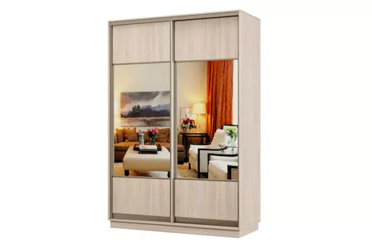 Шкаф-купе 2-дверный Практик 02