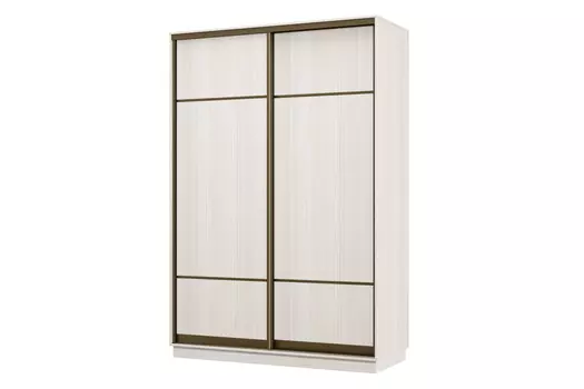 Шкаф-купе 2-дверный Практик 02