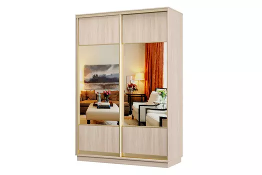 Шкаф-купе 2-дверный Практик 02