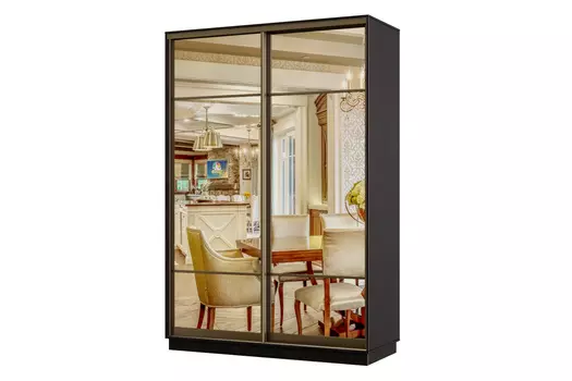 Шкаф-купе 2-дверный Практик 02