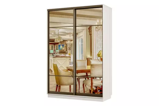 Шкаф-купе 2-дверный Практик 02