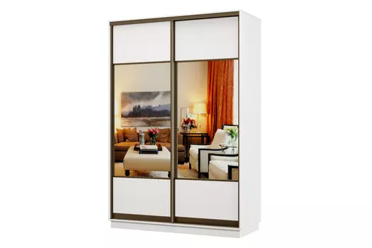 Шкаф-купе 2-дверный Практик 02