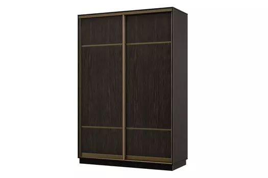 Шкаф-купе 2-дверный Практик 02