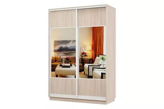 Шкаф-купе 2-дверный Практик 02