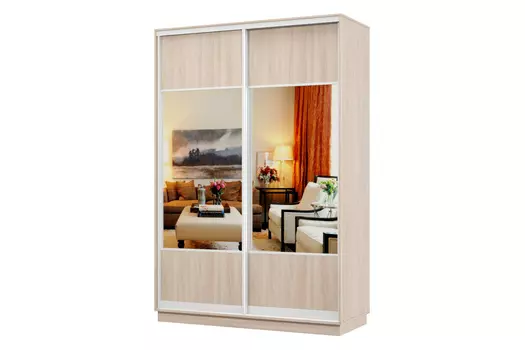 Шкаф-купе 2-дверный Практик 02