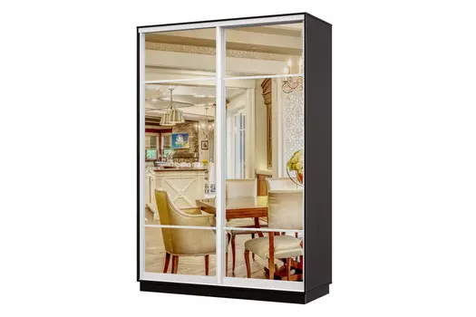 Шкаф-купе 2-дверный Практик 02