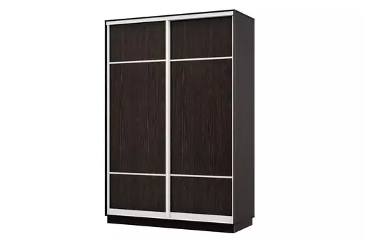 Шкаф-купе 2-дверный Практик 02